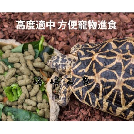 REPTIZOO 瑞普 樹脂餵食盤 水盆 食盆 菜盤 寵物水盆 兩棲爬蟲 守宮 蜥蜴 陸龜 角蛙 婷婷百貨 金金水族-細節圖5