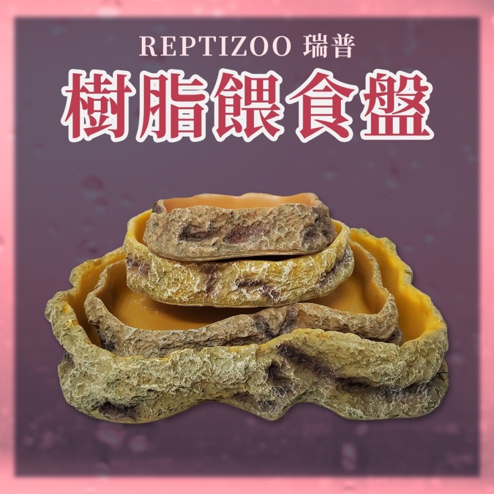 REPTIZOO 瑞普 樹脂餵食盤 水盆 食盆 菜盤 寵物水盆 兩棲爬蟲 守宮 蜥蜴 陸龜 角蛙 婷婷百貨 金金水族-細節圖6