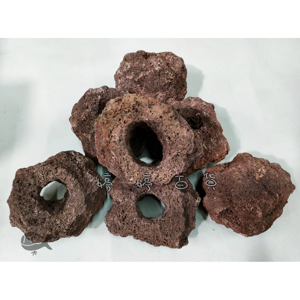 火山岩洞 紅火山岩（7~14cm）火山岩石 高孔隙 培菌石 淨化水質 造景 躲藏 婷婷水族 兩棲爬寵-細節圖2