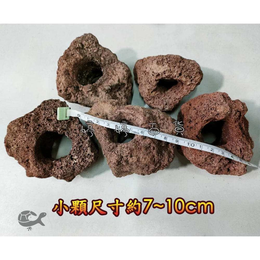 火山岩洞 紅火山岩（7~14cm）火山岩石 高孔隙 培菌石 淨化水質 造景 躲藏 婷婷水族 兩棲爬寵-細節圖3