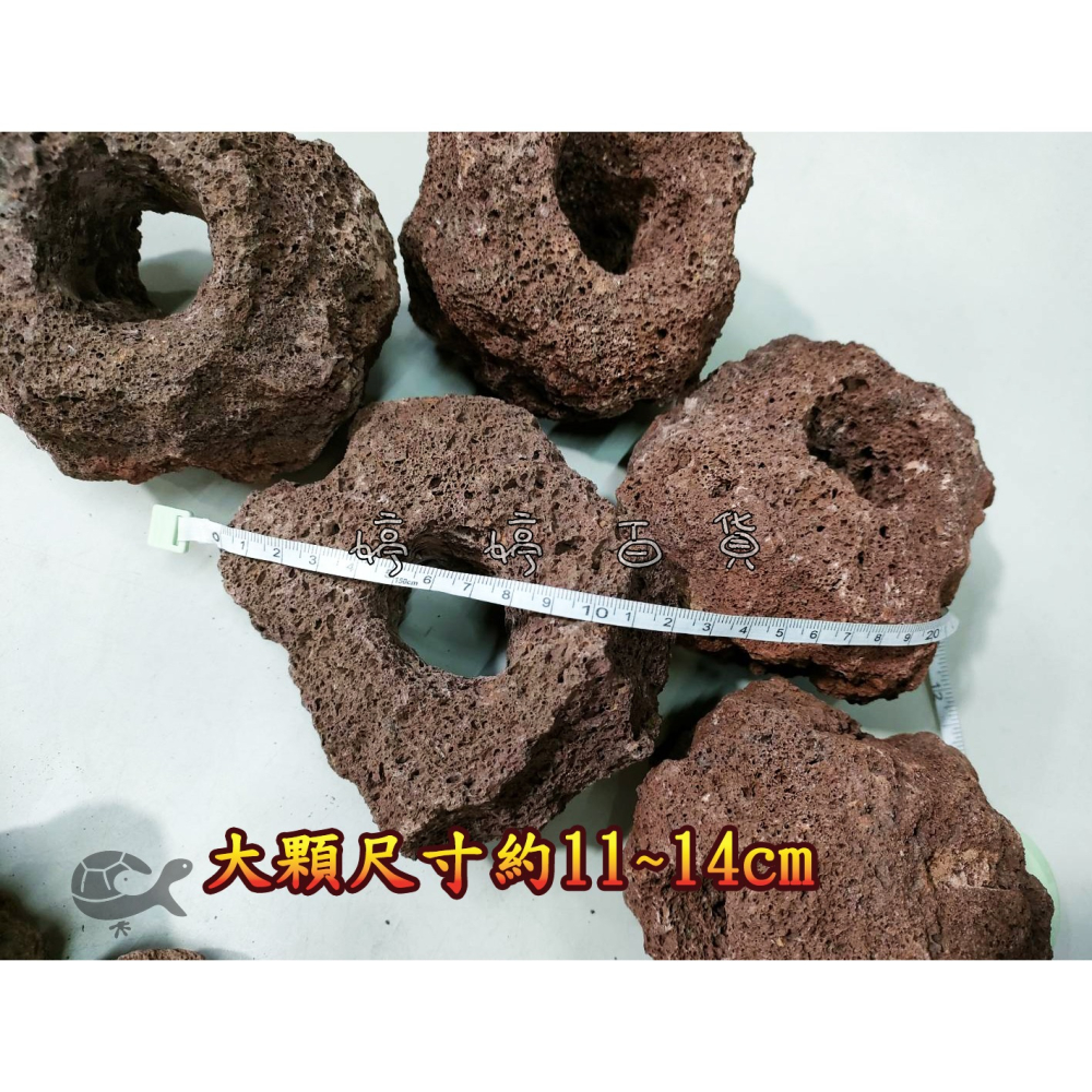 火山岩洞 紅火山岩（7~14cm）火山岩石 高孔隙 培菌石 淨化水質 造景 躲藏 婷婷水族 兩棲爬寵-細節圖4