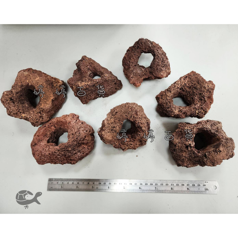 火山岩洞 紅火山岩（7~14cm）火山岩石 高孔隙 培菌石 淨化水質 造景 躲藏 婷婷水族 兩棲爬寵-細節圖5