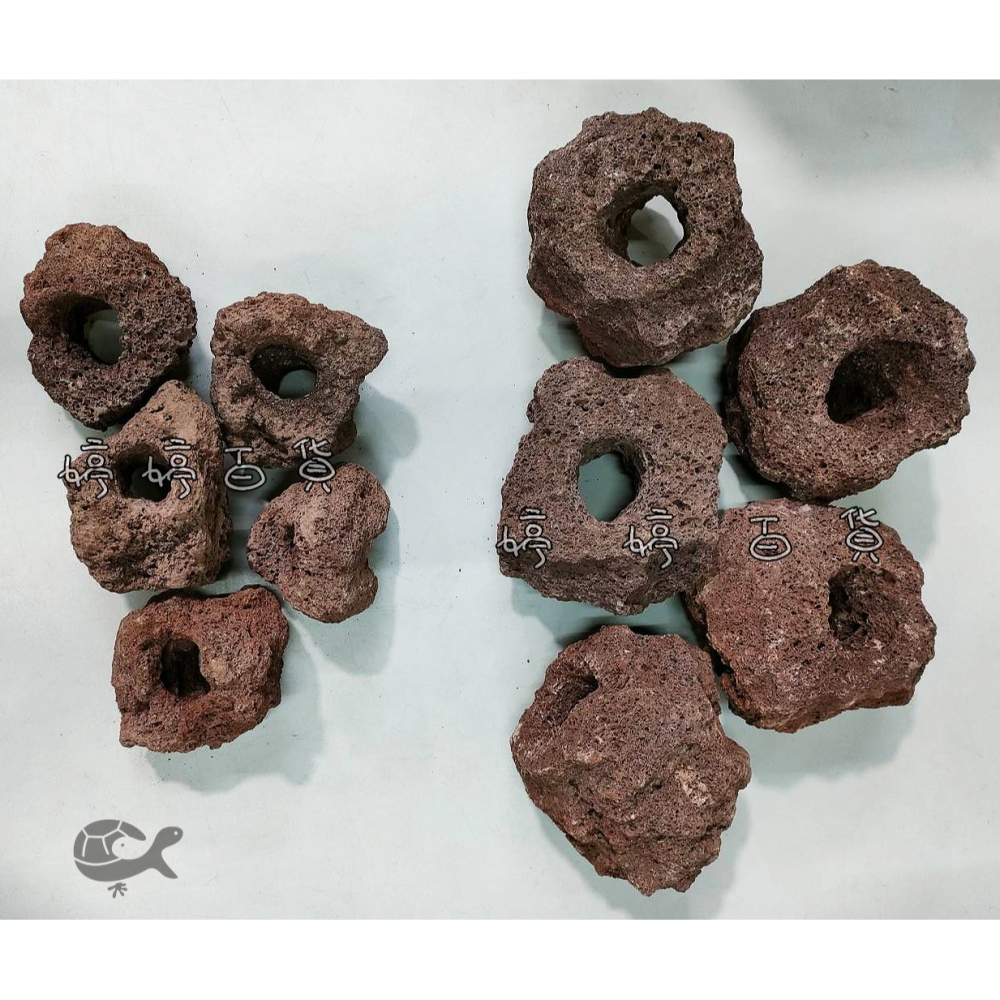 火山岩洞 紅火山岩（7~14cm）火山岩石 高孔隙 培菌石 淨化水質 造景 躲藏 婷婷水族 兩棲爬寵-細節圖6