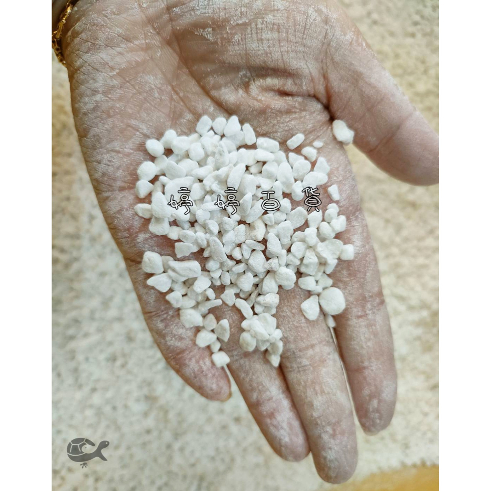 特白卵石 漢白玉（1分）【1kg 散裝】水晶白砂 魚缸底沙 底材 底砂 造景 盆栽鋪面 庭園鋪地 婷婷水族 兩棲爬寵-細節圖2