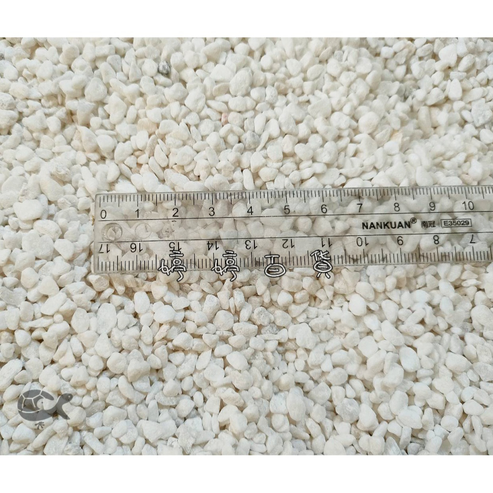特白卵石 漢白玉（1分）【1kg 散裝】水晶白砂 魚缸底沙 底材 底砂 造景 盆栽鋪面 庭園鋪地 婷婷水族 兩棲爬寵-細節圖3