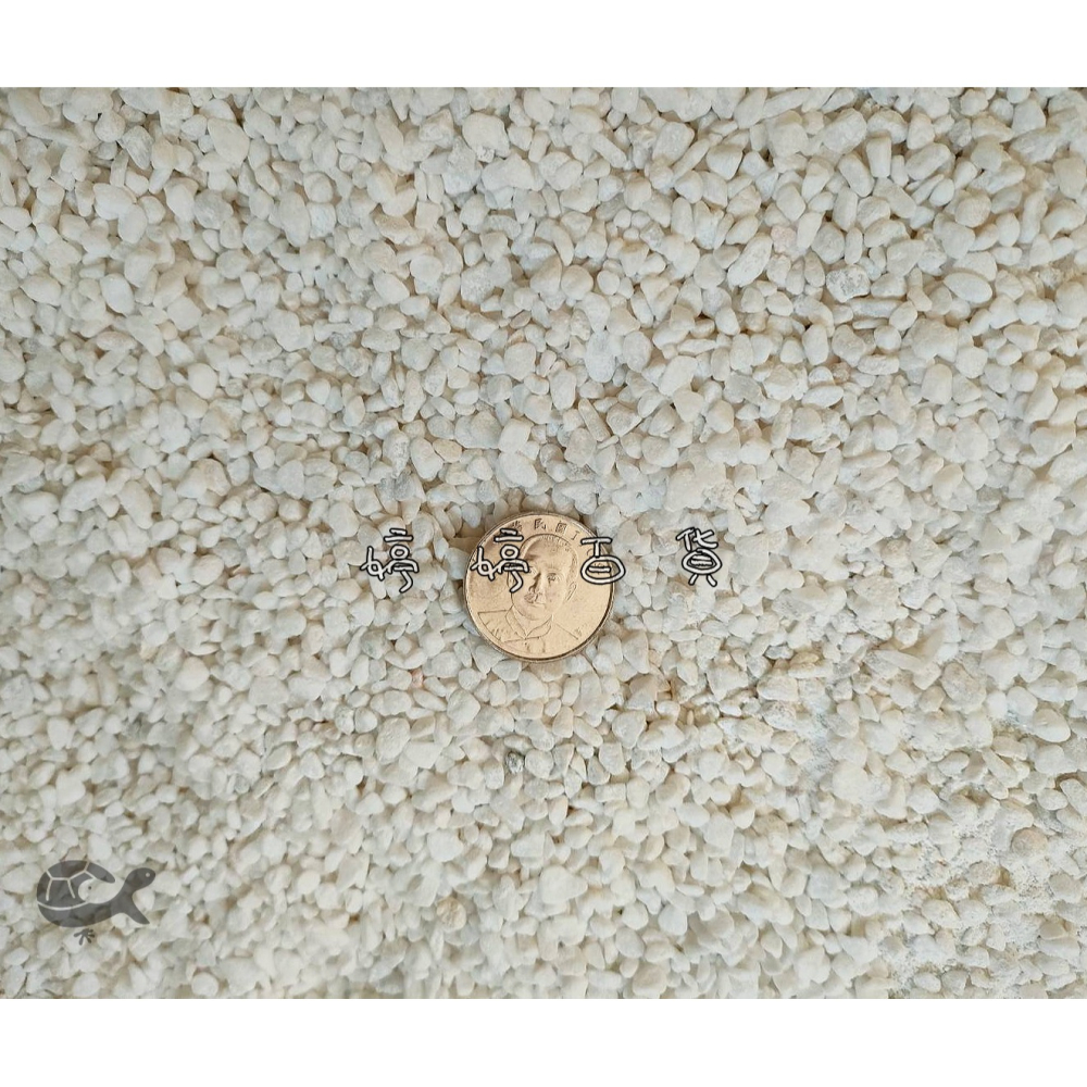 特白卵石 漢白玉（1分）【1kg 散裝】水晶白砂 魚缸底沙 底材 底砂 造景 盆栽鋪面 庭園鋪地 婷婷水族 兩棲爬寵-細節圖4