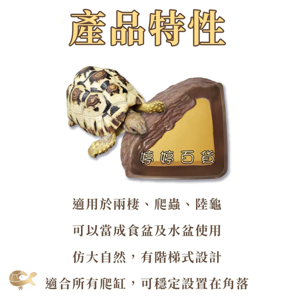 爬寵食盆／水盆 淺盆 角落型 三角形 扇形 飼料盆 餵食盆 餵水盆 陸龜 蜥蜴 烏龜 鬆獅蜥 婷婷水族 兩棲爬寵-細節圖3