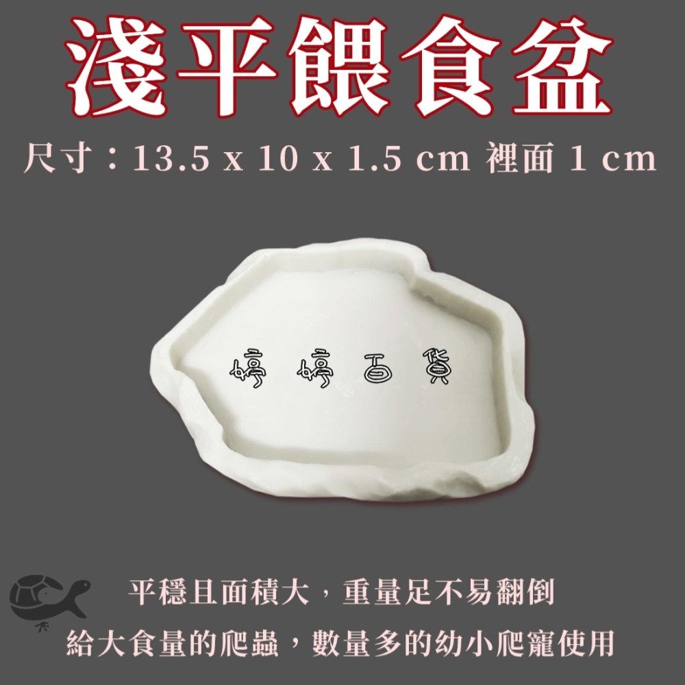 爬寵食盆／水盆 淺盆 角落型 三角形 扇形 飼料盆 餵食盆 餵水盆 陸龜 蜥蜴 烏龜 鬆獅蜥 婷婷水族 兩棲爬寵-細節圖5
