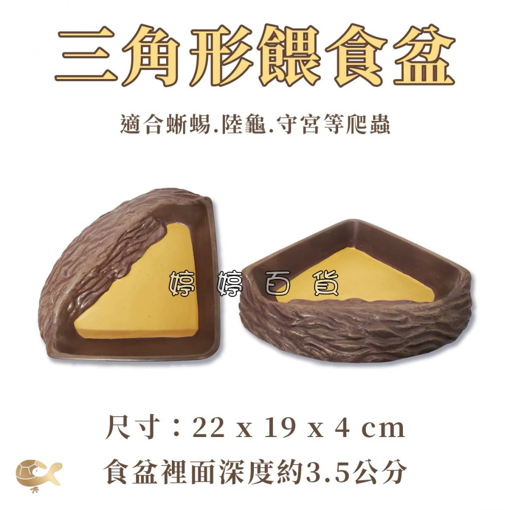 爬寵食盆／水盆 淺盆 角落型 三角形 扇形 飼料盆 餵食盆 餵水盆 陸龜 蜥蜴 烏龜 鬆獅蜥 婷婷水族 兩棲爬寵-細節圖7