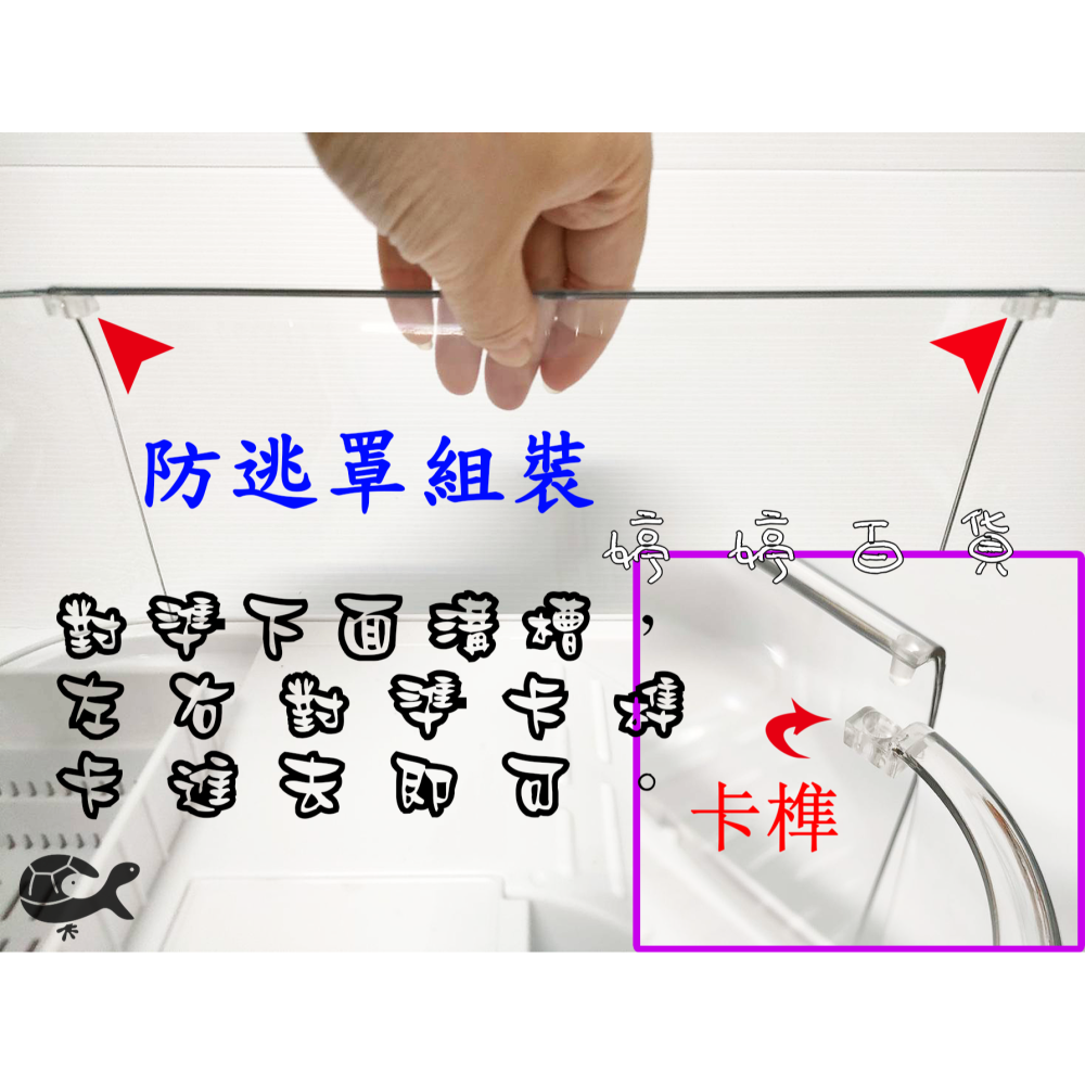 松寶 SOBO 壓克力 烏龜生態缸 烏龜飼養箱 烏龜缸 澤龜缸 蛋龜 麝香龜 果核龜 婷婷水族 兩棲爬寵-細節圖4