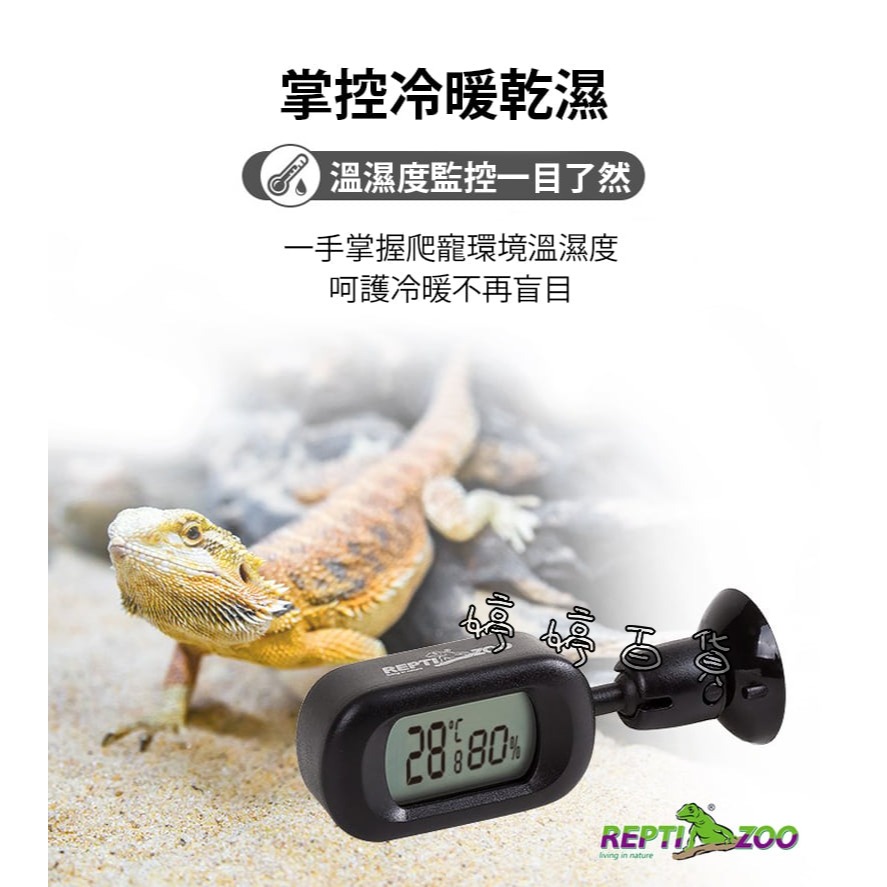 利達祥 REPTIZOO 瑞普 電子溫濕度計_橫式 LED顯示 爬蟲溫濕度計 360°旋轉數顯溫濕度計 婷婷百貨 金金水-細節圖4