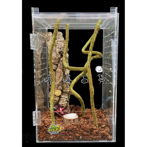 RepPark 直立式爬蟲箱 壓克力盒【25ｘ25ｘ高42cm】樹棲型 雨林缸 睫角 巨人 馬島 變色龍 昆蟲 婷婷水族