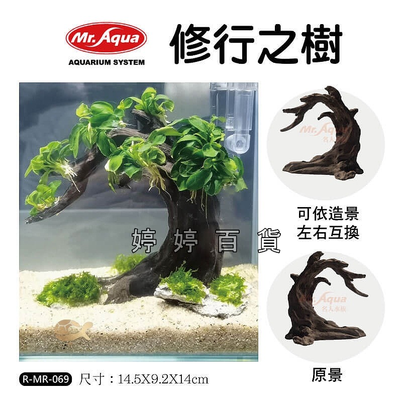 Mr.Aqua 水族先生 造景飾品 修行之樹 魚缸裝飾 綁水草 仿沉木 魚缸 水草缸 佈置 擺設 婷婷水族 兩棲爬寵-細節圖3