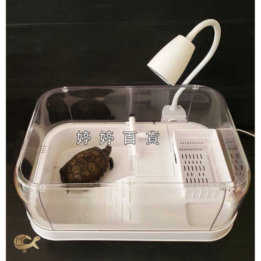 SOBO 松寶 全光譜 爬蟲曬背燈夾【內附燈泡一顆】夾燈 水龜燈 保溫燈 曬背 取暖 補鈣 婷婷水族 兩棲爬寵-細節圖7