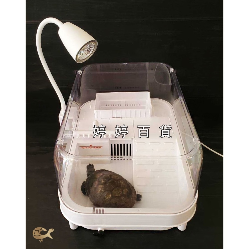 SOBO 松寶 全光譜 爬蟲曬背燈夾【內附燈泡一顆】夾燈 水龜燈 保溫燈 曬背 取暖 補鈣 婷婷水族 兩棲爬寵-細節圖8