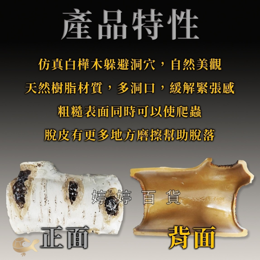 仿真白樺木躲避洞 樹洞 躲藏洞【S、M、L】守宮洞 守宮屋 蛇洞 蜥蜴 蠍子 寵物鼠 婷婷百貨 金金水族-細節圖2