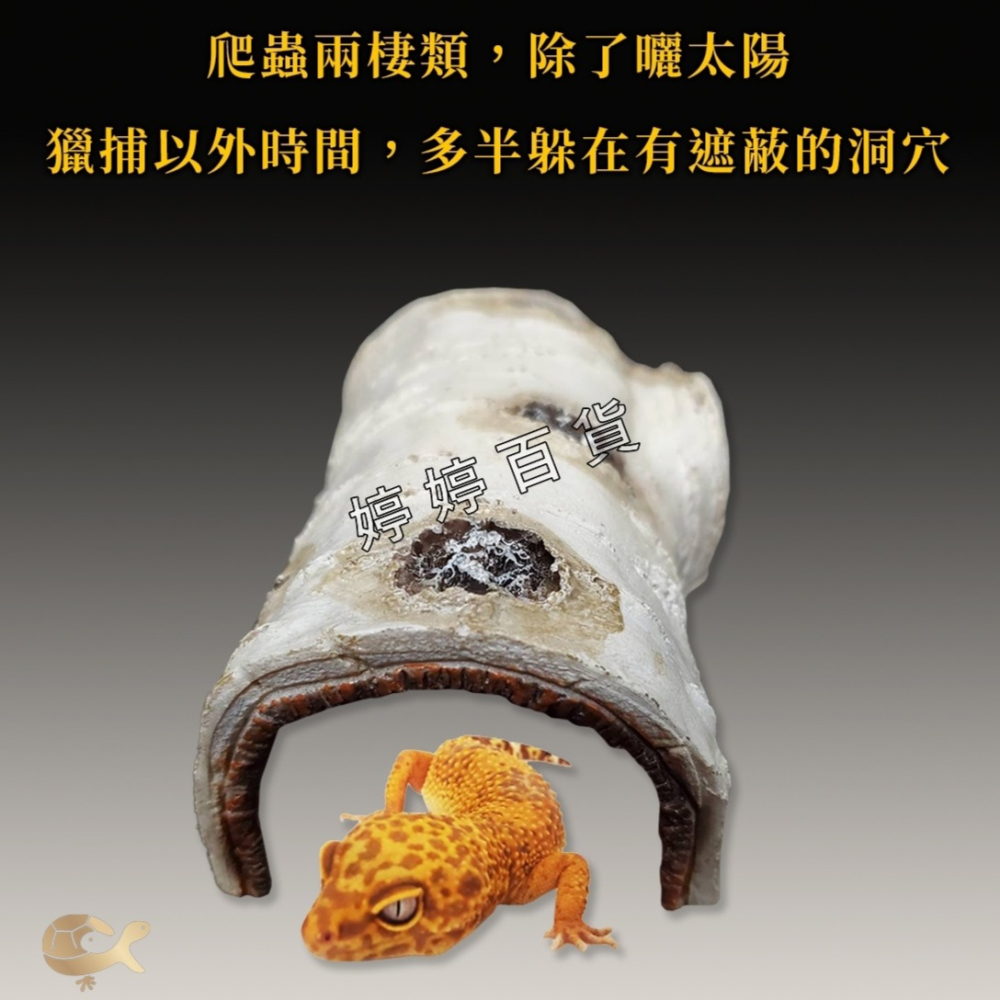 仿真白樺木躲避洞 樹洞 躲藏洞【S、M、L】守宮洞 守宮屋 蛇洞 蜥蜴 蠍子 寵物鼠 婷婷百貨 金金水族-細節圖3