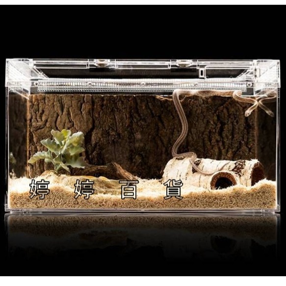 仿真白樺木躲避洞 樹洞 躲藏洞【S、M、L】守宮洞 守宮屋 蛇洞 蜥蜴 蠍子 寵物鼠 婷婷百貨 金金水族-細節圖6