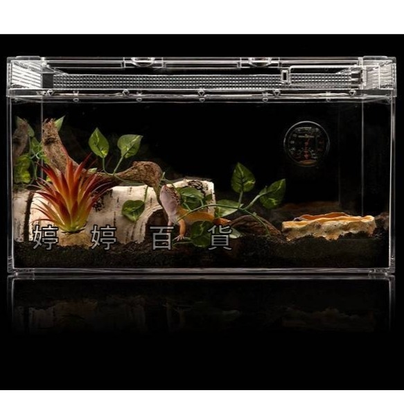 仿真白樺木躲避洞 樹洞 躲藏洞【S、M、L】守宮洞 守宮屋 蛇洞 蜥蜴 蠍子 寵物鼠 婷婷百貨 金金水族-細節圖7