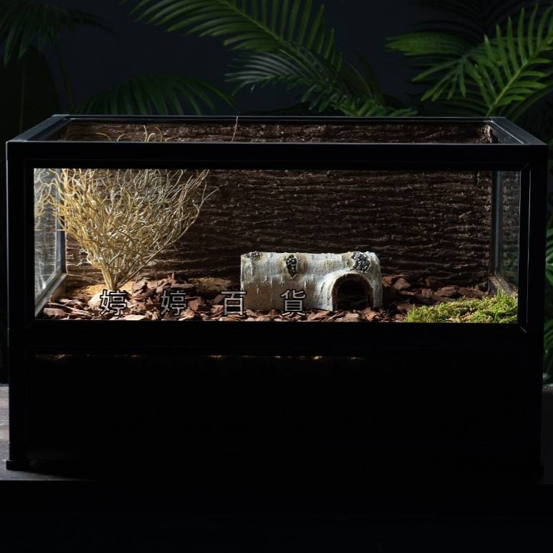 仿真白樺木躲避洞 樹洞 躲藏洞【S、M、L】守宮洞 守宮屋 蛇洞 蜥蜴 蠍子 寵物鼠 婷婷百貨 金金水族-細節圖8