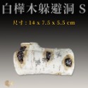 仿真白樺木躲避洞 樹洞 躲藏洞【S、M、L】守宮洞 守宮屋 蛇洞 蜥蜴 蠍子 寵物鼠 婷婷百貨 金金水族-規格圖8