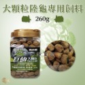 龜仙糧 巨仙 陸龜飼料 巨仙糧 高纖維 低草酸 益生菌添加 蘇卡達 赫曼 櫻桃紅腿 婷婷水族 兩棲爬寵-規格圖3