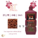 紅 觀賞魚飼料【一公斤 小顆／中顆 上浮性】增豔飼料 促進成長 花羅漢 血鸚鵡 金魚 蝦紅素 胡蘿蔔素 婷婷水族-規格圖4