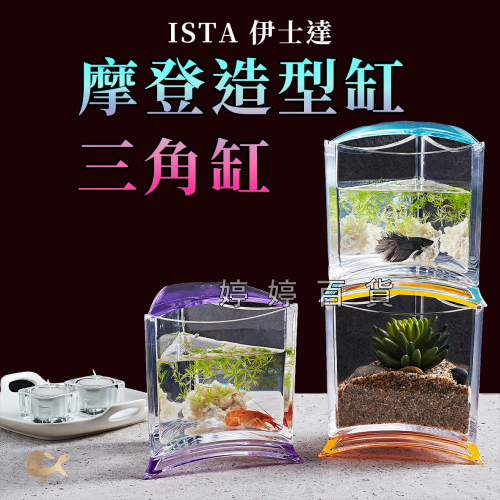 伊士達 ISTA 摩登造型三角缸 造型缸 迷你缸 鬥魚缸 可堆疊 透明度高 小型魚 水草 角蛙 婷婷水族 兩棲爬寵