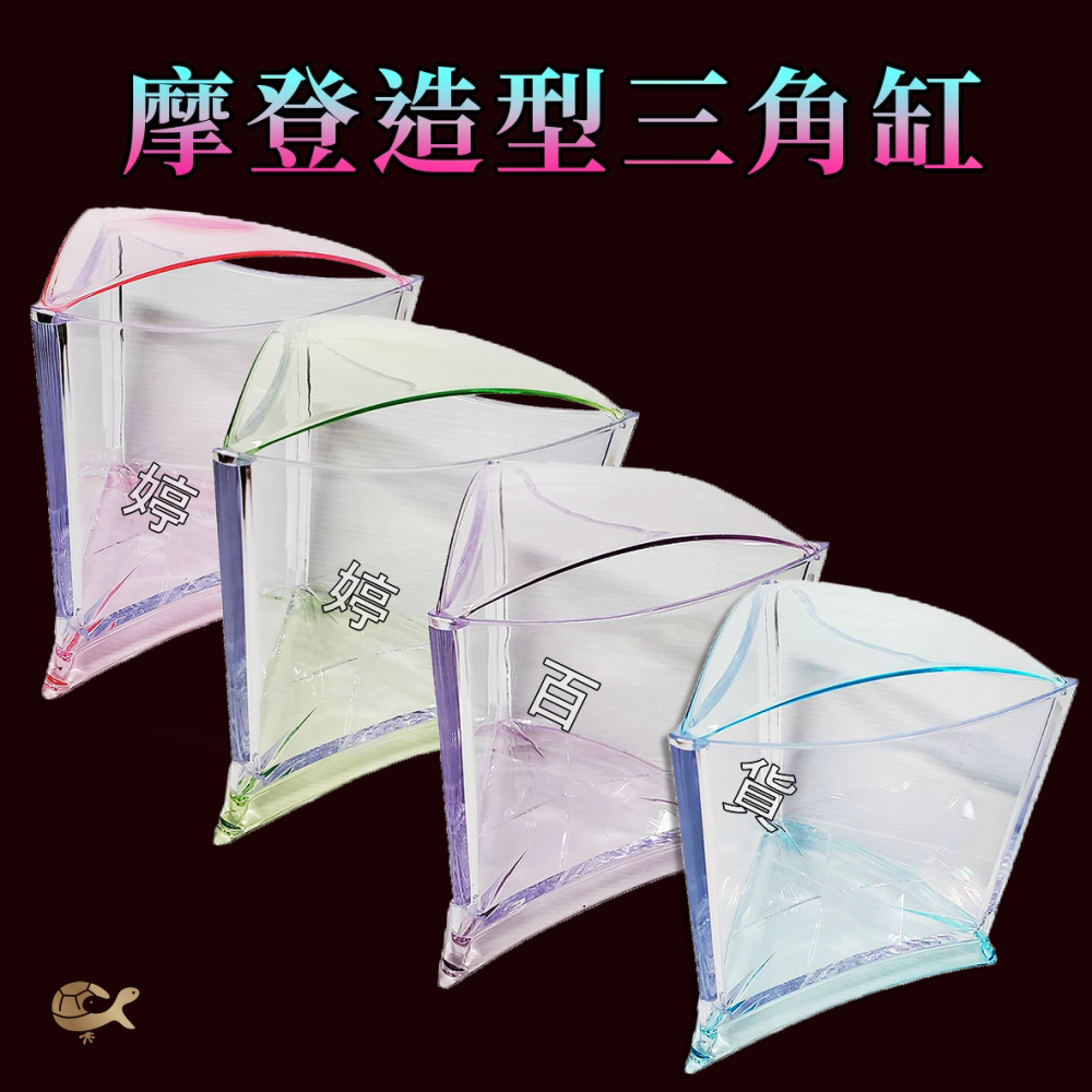 伊士達 ISTA 摩登造型三角缸 造型缸 迷你缸 鬥魚缸 可堆疊 透明度高 小型魚 水草 角蛙 婷婷水族 兩棲爬寵-細節圖4