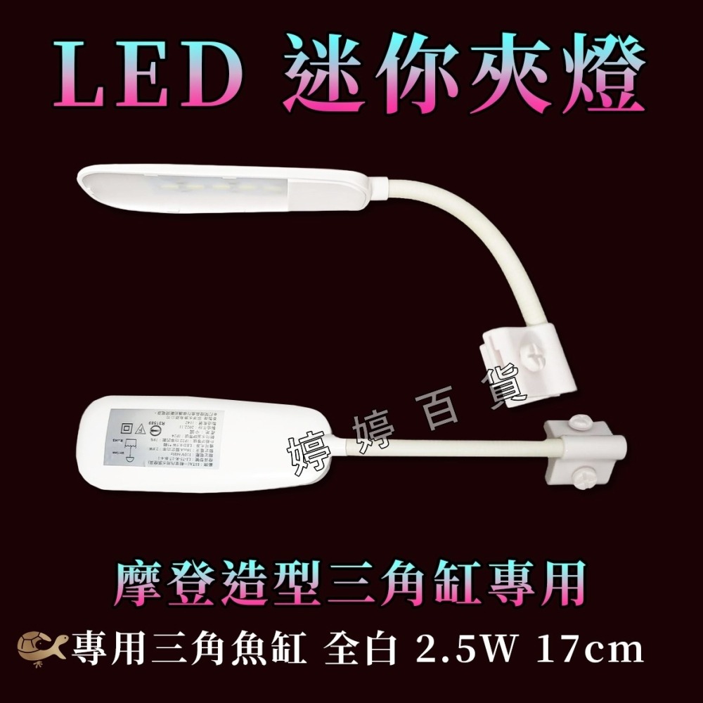 伊士達 ISTA 摩登造型三角缸+專用迷你燈具【一組】造型缸 迷你缸 鬥魚缸 小型魚 水草 角蛙 婷婷水族 兩棲爬寵-細節圖3