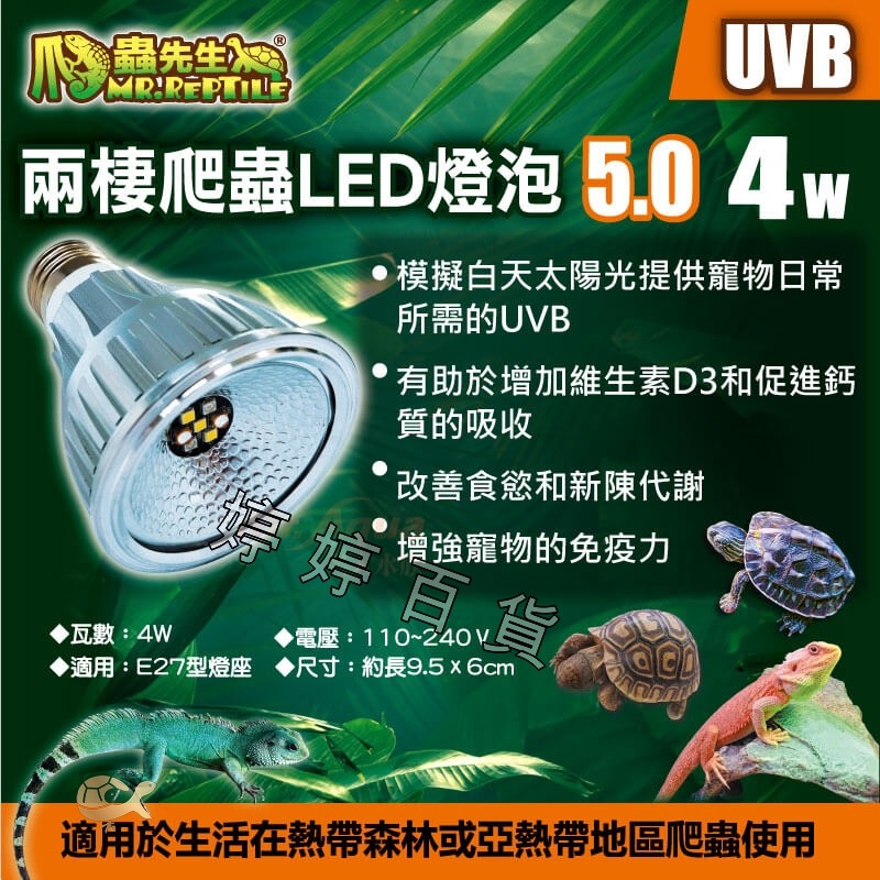 MR.AQUA 爬蟲先生 兩棲爬蟲LED UVB 5.0燈泡 模擬太陽光 紫外線 曬背燈 促進鈣質吸收 婷婷水族 兩爬-細節圖2