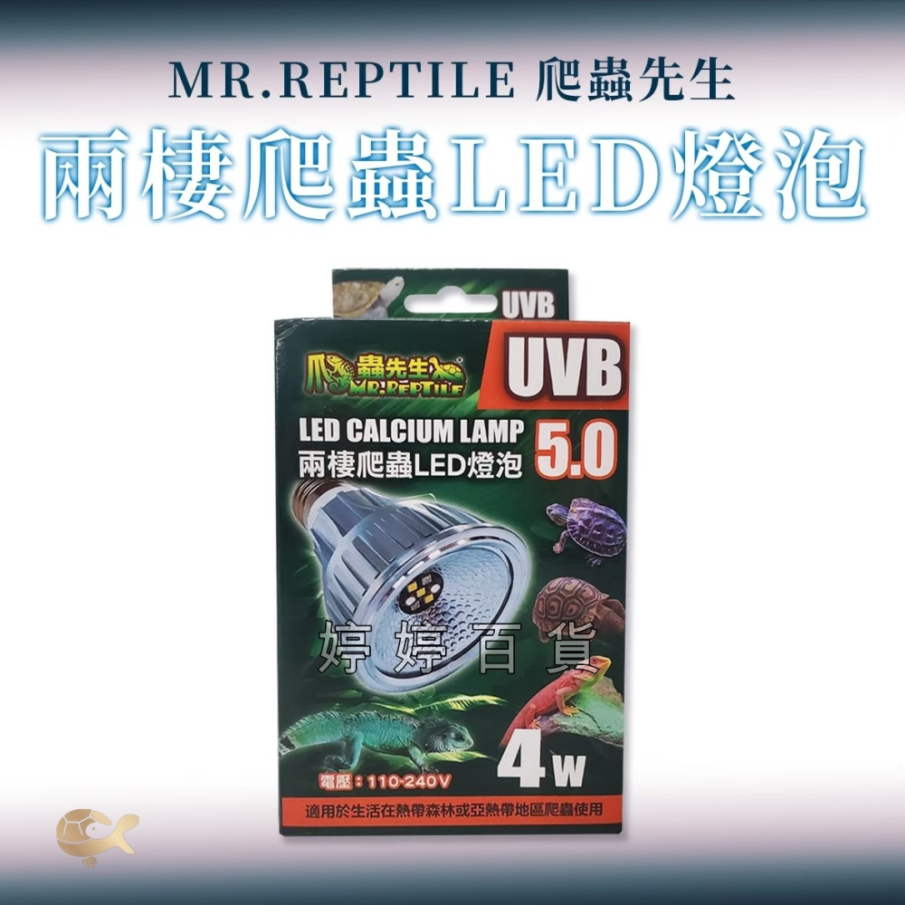 MR.AQUA 爬蟲先生 兩棲爬蟲LED UVB 5.0燈泡 模擬太陽光 紫外線 曬背燈 促進鈣質吸收 婷婷水族 兩爬-細節圖4