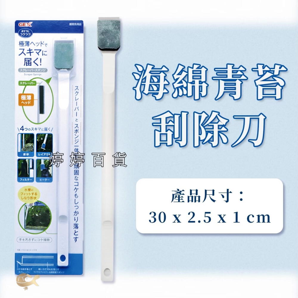 日本 GEX 五味 海綿青苔刮除刀 刮刀 清潔刷 除藻刷 清潔棉 刷玻璃 魚缸清潔刷 刷髒汙 婷婷水族 兩棲爬寵-細節圖3