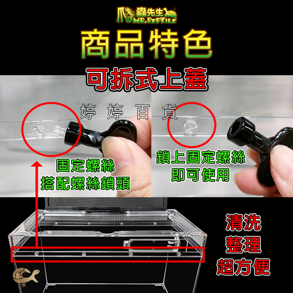 MR.AQUA 爬蟲先生 爬蟲兩棲飼養箱 壓克力 高透明 爬蟲箱 爬蟲缸 蜥蜴 蜘蛛 角蛙 婷婷水族 兩棲爬寵-細節圖4
