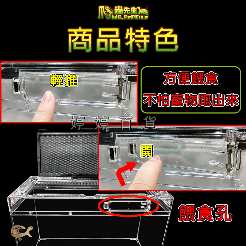 MR.AQUA 爬蟲先生 爬蟲兩棲飼養箱 壓克力 高透明 爬蟲箱 爬蟲缸 蜥蜴 蜘蛛 角蛙 婷婷水族 兩棲爬寵-細節圖5