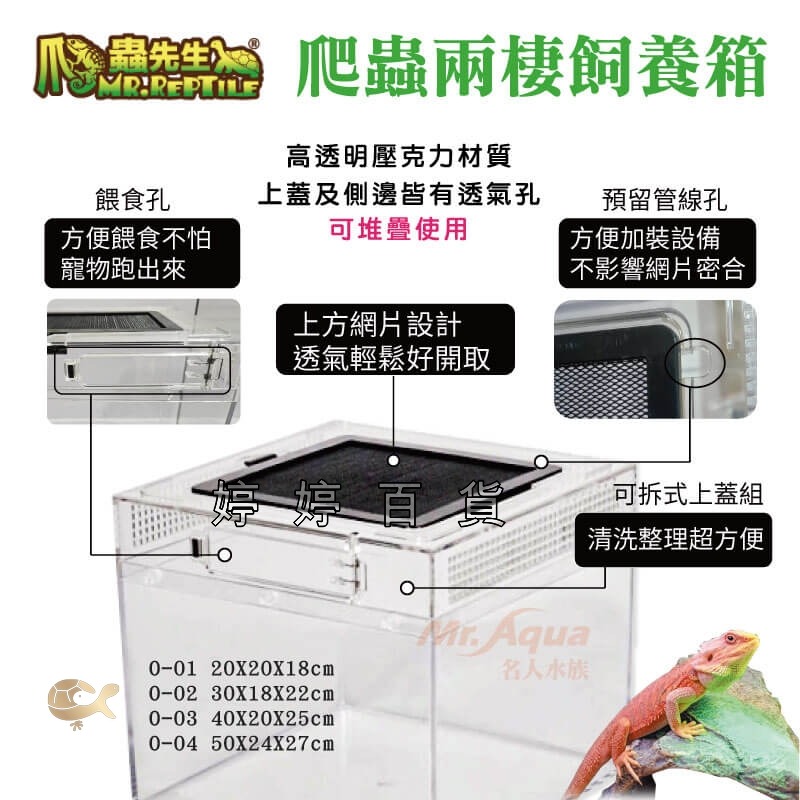 MR.AQUA 爬蟲先生 爬蟲兩棲飼養箱 壓克力 高透明 爬蟲箱 爬蟲缸 蜥蜴 蜘蛛 角蛙 婷婷水族 兩棲爬寵-細節圖6