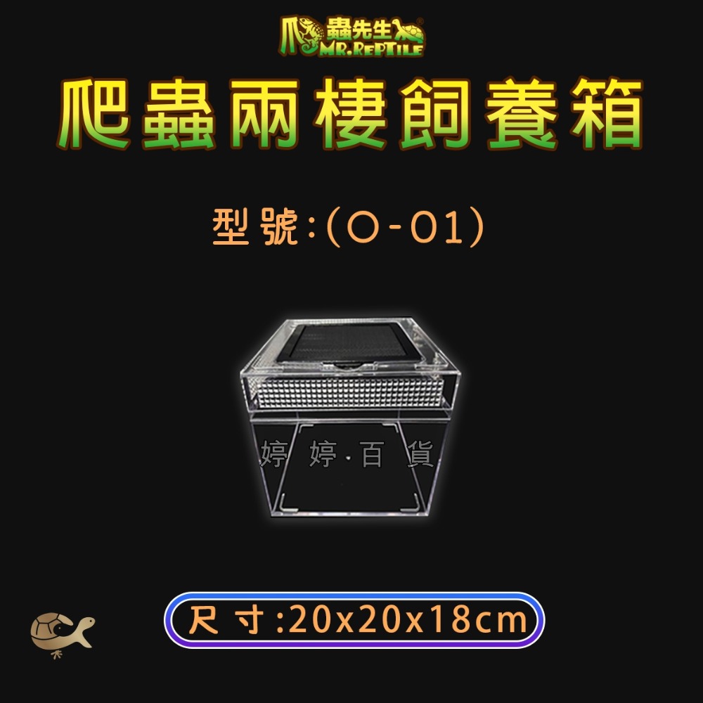 MR.AQUA 爬蟲先生 爬蟲兩棲飼養箱 壓克力 高透明 爬蟲箱 爬蟲缸 蜥蜴 蜘蛛 角蛙 婷婷水族 兩棲爬寵-規格圖6
