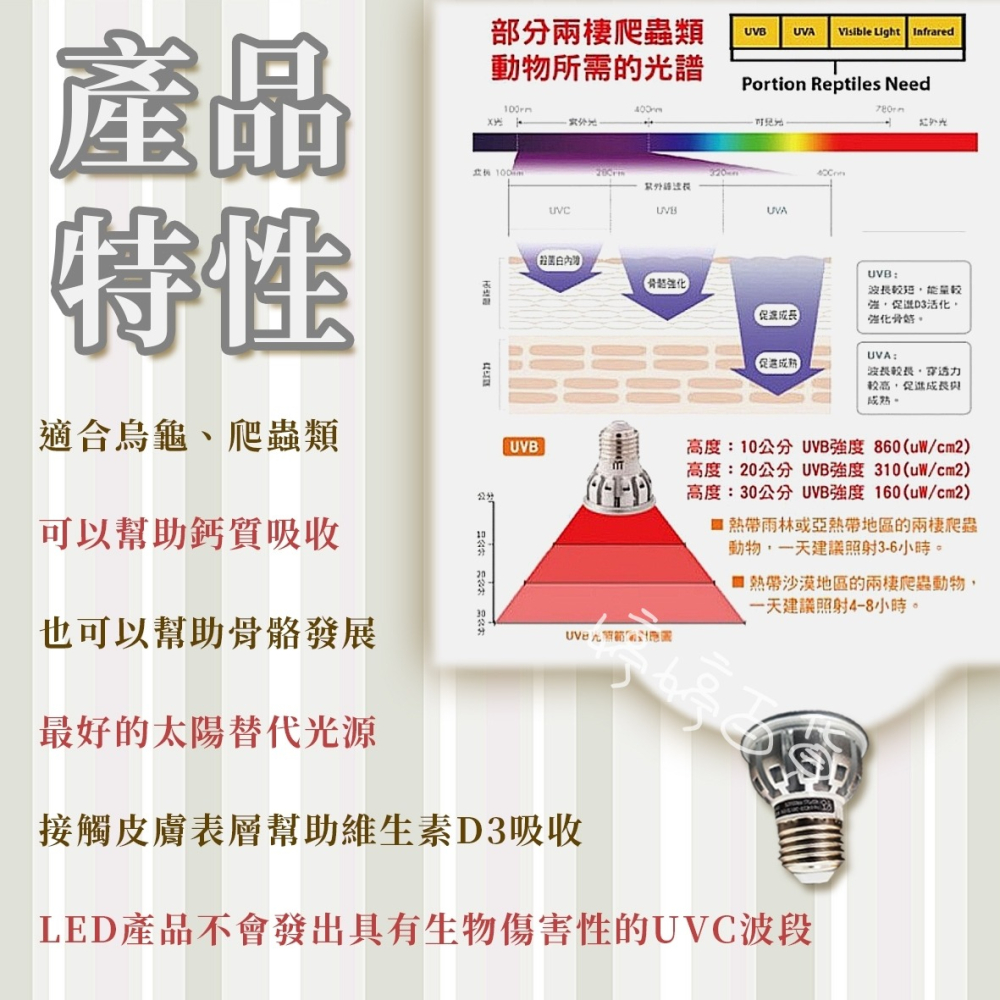 奧圖 OTTO UVB LED 省電燈泡 10.0 UVB+UVA 曬背燈 仿太陽光 烏龜 蜥蜴 婷婷水族 兩棲爬寵-細節圖2