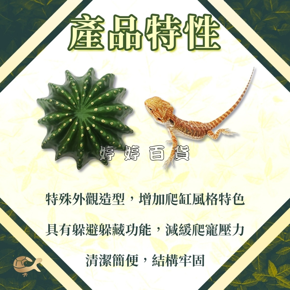利達祥 仙人掌 洞穴 躲避洞 躲藏洞 兩棲爬蟲 蜥蜴 守宮 蜘蛛 蠍子 沙漠造景 婷婷水族 兩棲爬寵-細節圖2