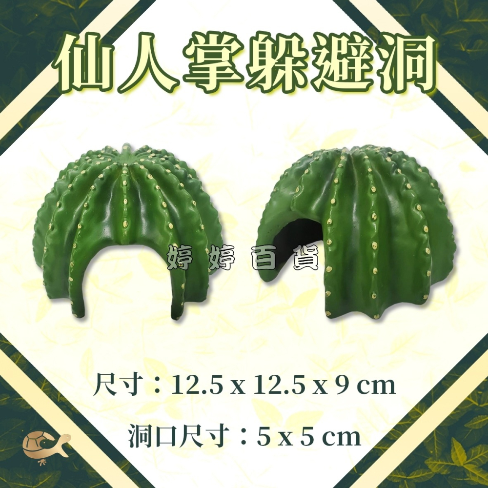 利達祥 仙人掌 洞穴 躲避洞 躲藏洞 兩棲爬蟲 蜥蜴 守宮 蜘蛛 蠍子 沙漠造景 婷婷水族 兩棲爬寵-細節圖3