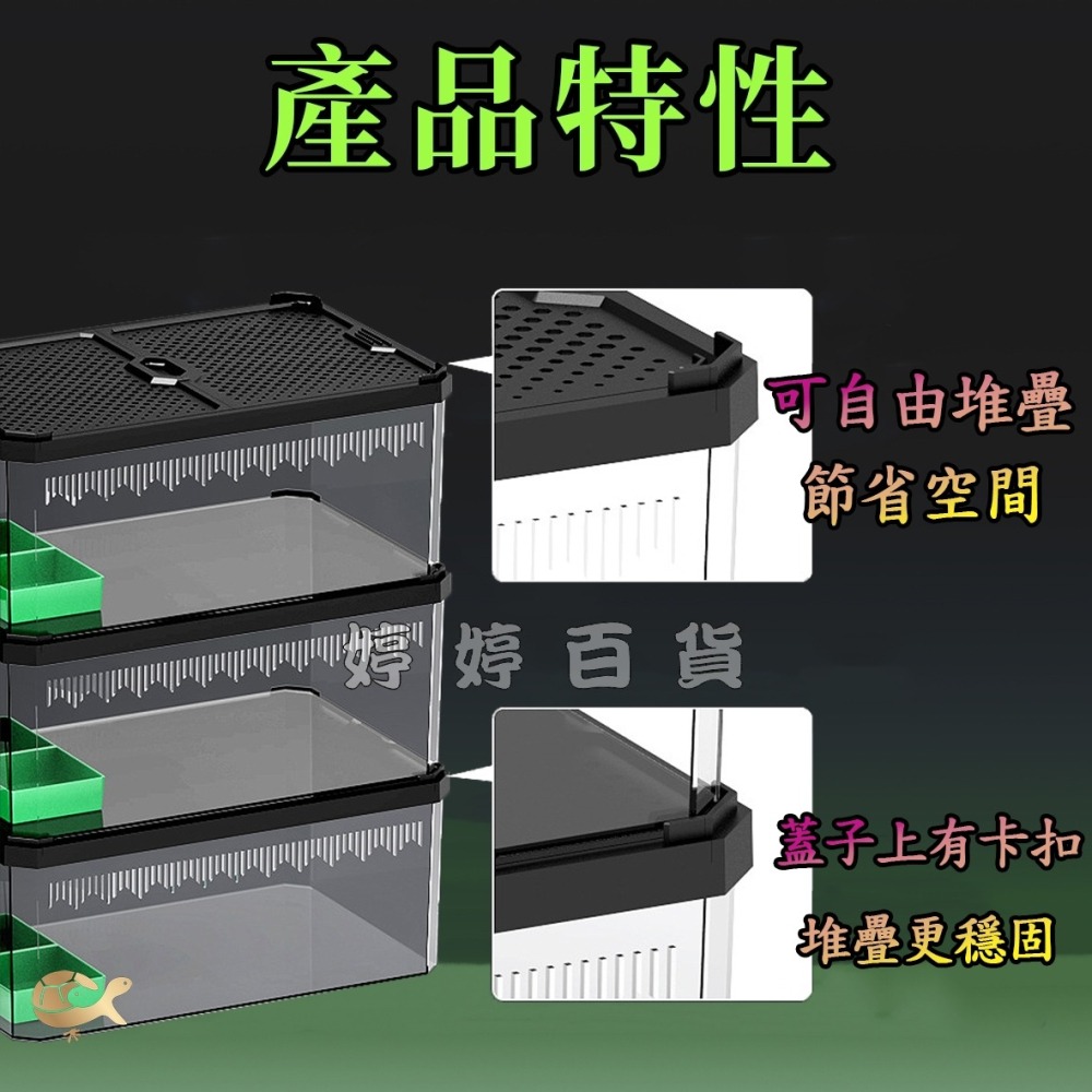 諾摩 雙開磁吸滑蓋式飼養盒 高透飼養盒 兩棲爬蟲 角蛙 蜥蜴 蛇 守宮 蜘蛛 昆蟲 蠶寶寶 婷婷水族 兩棲爬寵-細節圖3