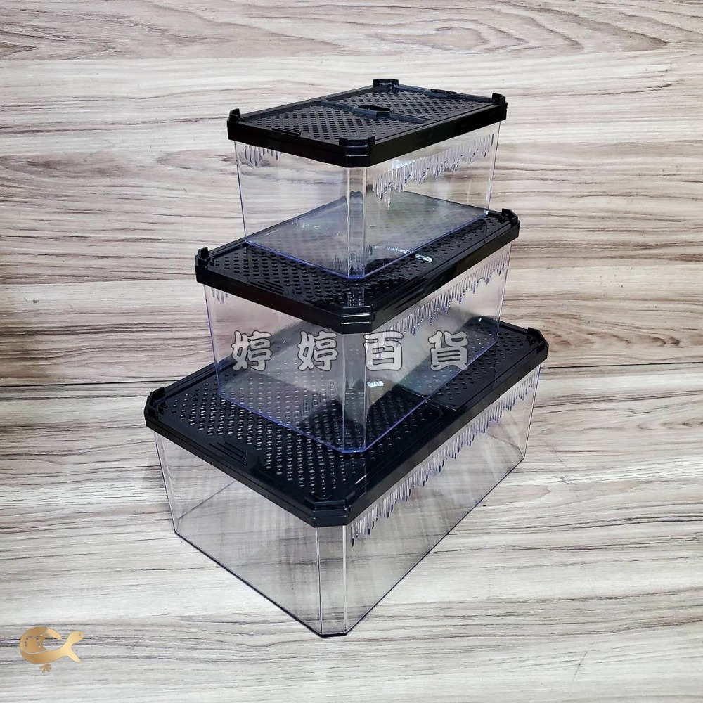 諾摩 雙開磁吸滑蓋式飼養盒 高透飼養盒 兩棲爬蟲 角蛙 蜥蜴 蛇 守宮 蜘蛛 昆蟲 蠶寶寶 婷婷水族 兩棲爬寵-細節圖4