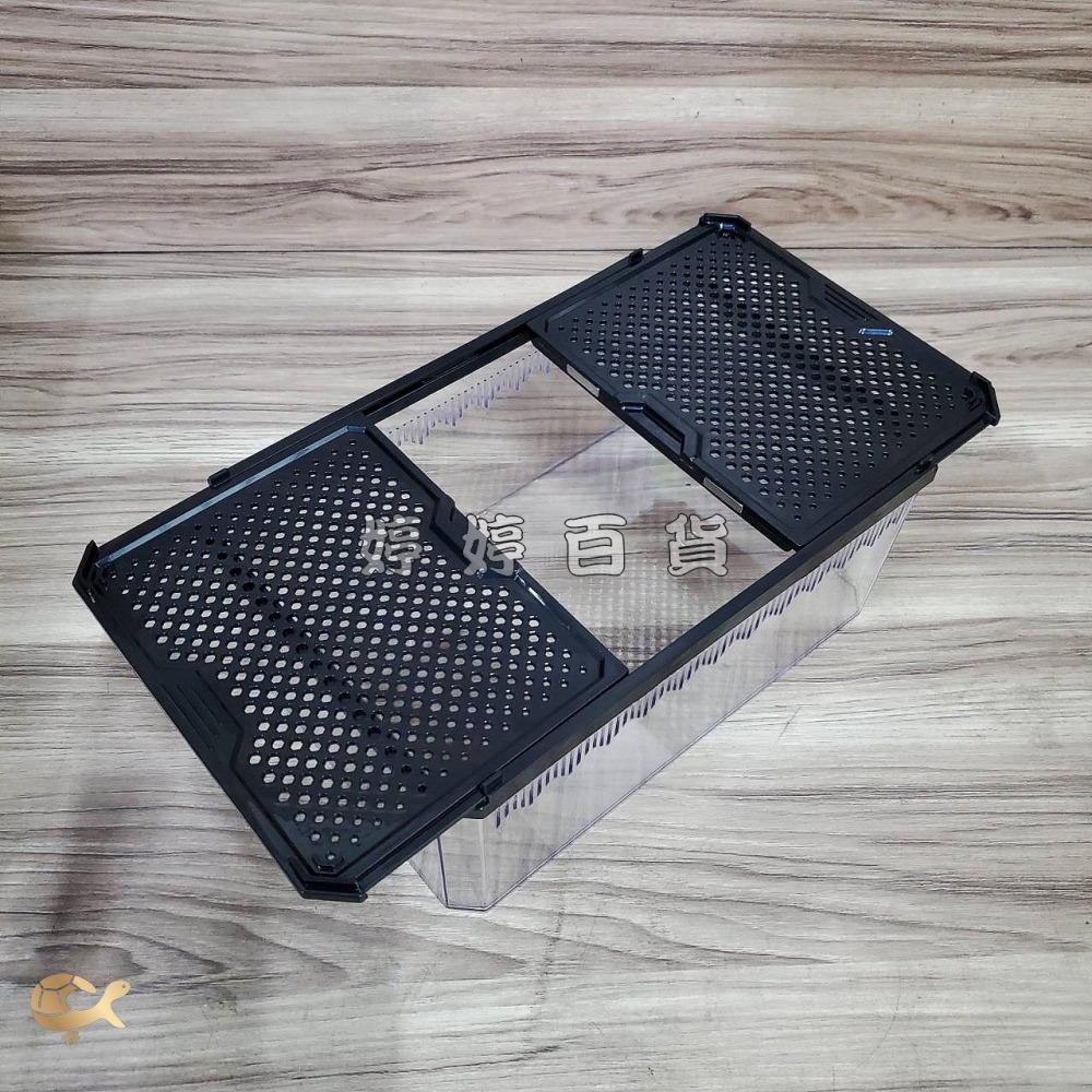 諾摩 雙開磁吸滑蓋式飼養盒 高透飼養盒 兩棲爬蟲 角蛙 蜥蜴 蛇 守宮 蜘蛛 昆蟲 蠶寶寶 婷婷水族 兩棲爬寵-細節圖5