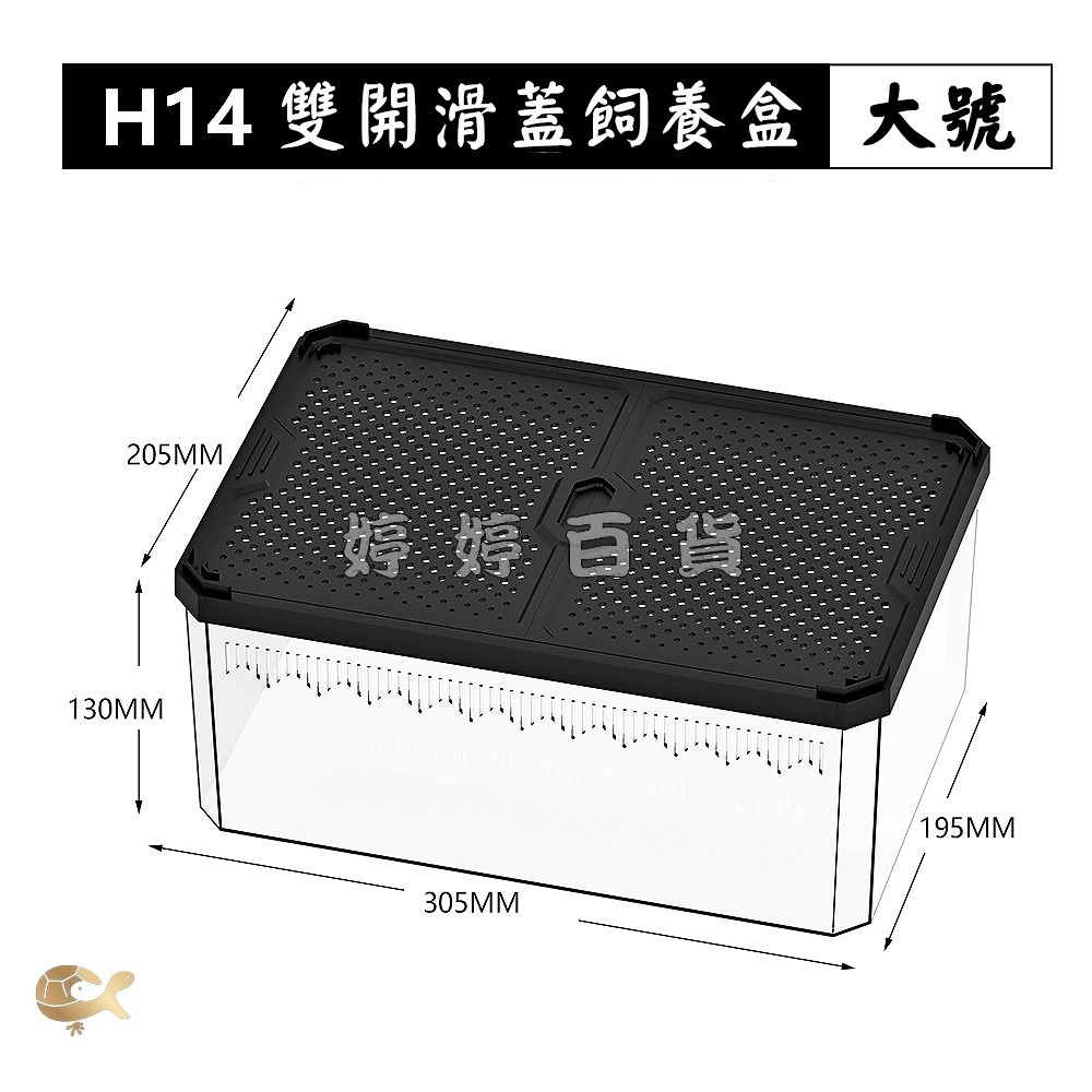 諾摩 雙開磁吸滑蓋式飼養盒 高透飼養盒 兩棲爬蟲 角蛙 蜥蜴 蛇 守宮 蜘蛛 昆蟲 蠶寶寶 婷婷水族 兩棲爬寵-細節圖6