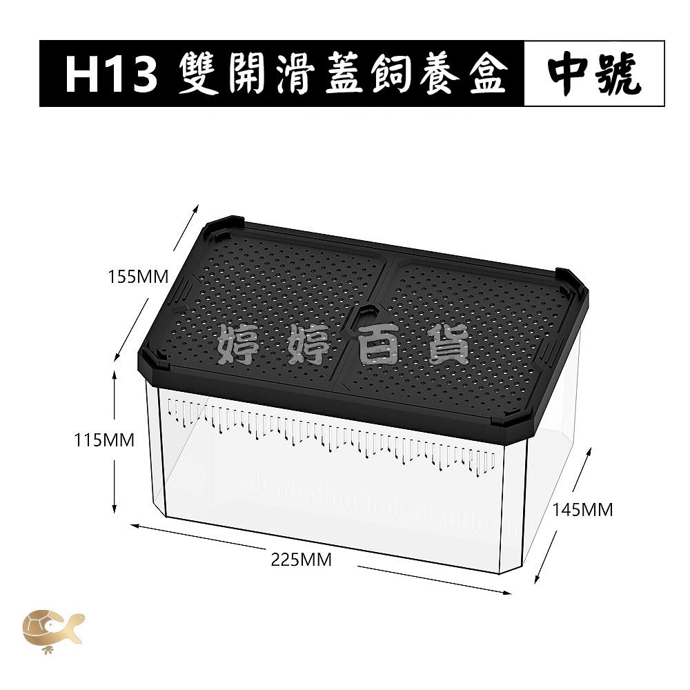 諾摩 雙開磁吸滑蓋式飼養盒 高透飼養盒 兩棲爬蟲 角蛙 蜥蜴 蛇 守宮 蜘蛛 昆蟲 蠶寶寶 婷婷水族 兩棲爬寵-細節圖7