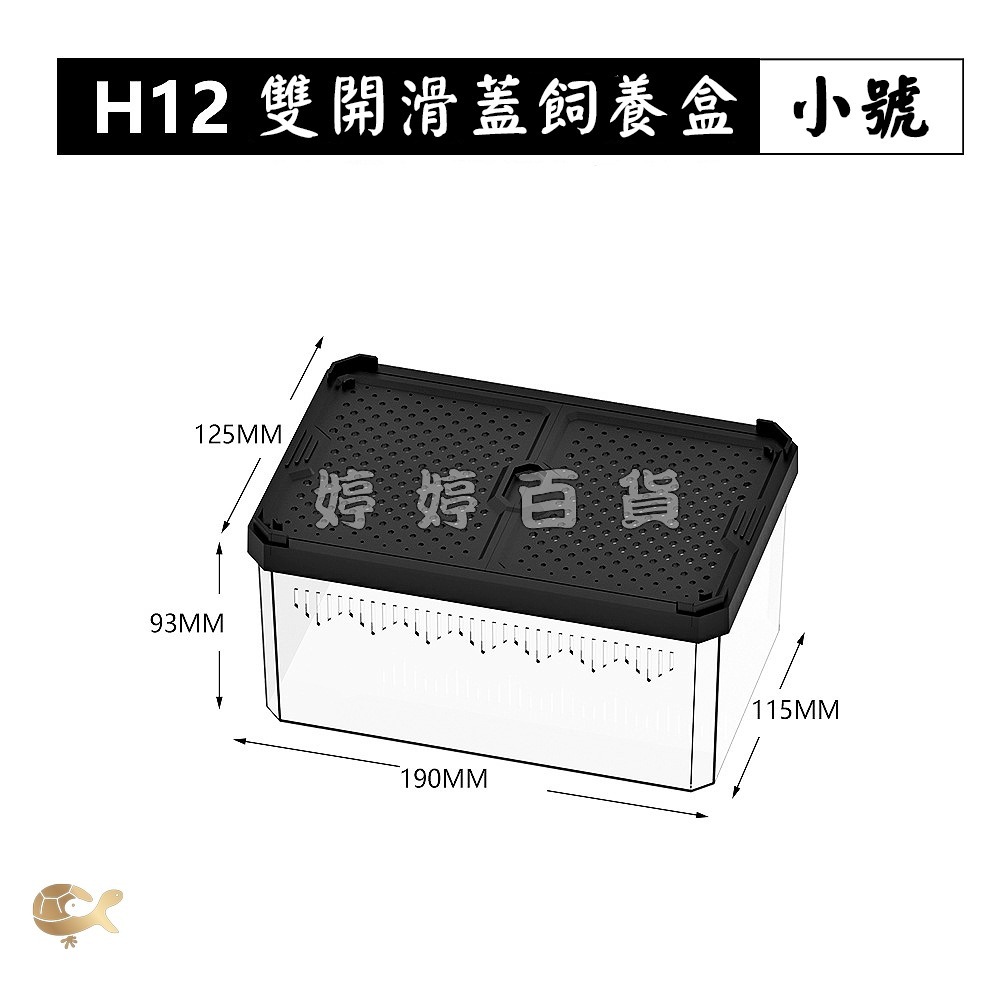 諾摩 雙開磁吸滑蓋式飼養盒 高透飼養盒 兩棲爬蟲 角蛙 蜥蜴 蛇 守宮 蜘蛛 昆蟲 蠶寶寶 婷婷水族 兩棲爬寵-細節圖8