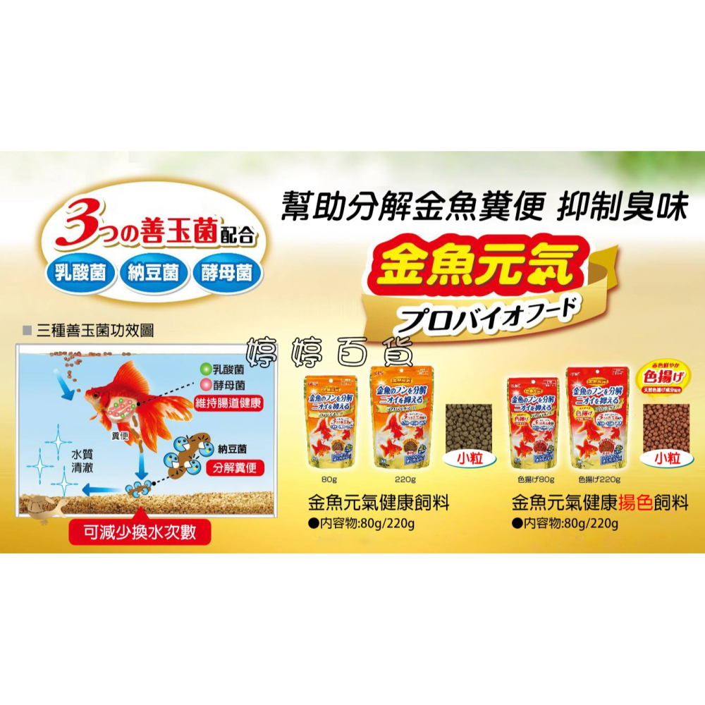 GEX 日本 五味 金魚元氣健康飼料（善玉菌配方）特小粒 浮上性 金魚飼料 獅頭 蘭壽 琉金 朱鱗 婷婷水族 兩棲爬寵-細節圖3