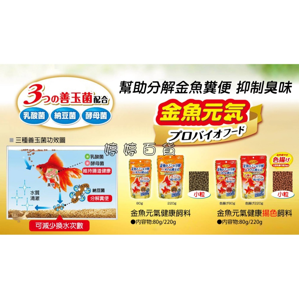 GEX 五味 金魚元氣健康揚色飼料（善玉菌配方）特小粒 浮上性 金魚飼料 獅頭 蘭壽 琉金 朱鱗 婷婷水族 兩棲爬寵-細節圖3