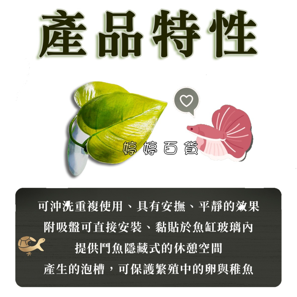 鬥魚葉 鬥魚生態葉【一棵】鬥魚築巢 休息 產卵 躲藏 假樹葉 浮葉 婷婷水族 兩棲爬寵-細節圖2