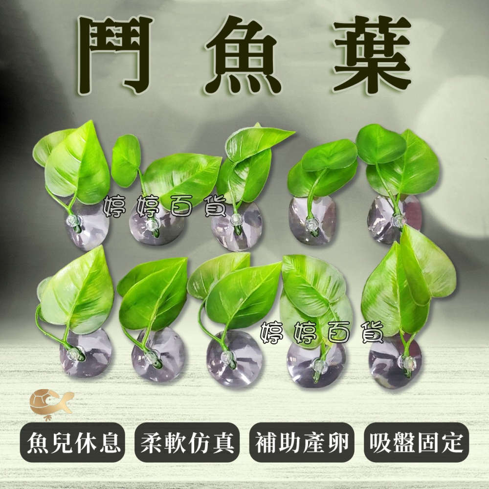 鬥魚葉 鬥魚生態葉【一棵】鬥魚築巢 休息 產卵 躲藏 假樹葉 浮葉 婷婷水族 兩棲爬寵-細節圖3